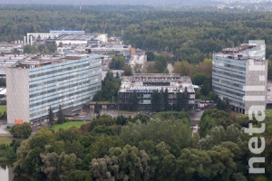 � 55-����� ������ ����������������