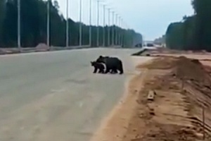 ������� �� �11