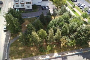 �������� ������ ����