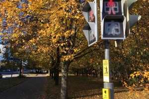 �� ���������� ������������ ��������� ��������� ������ ��� ���������