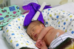 ���� ����� �����