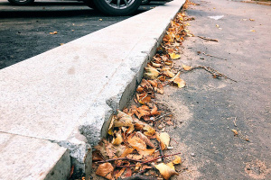 �������� ��������� ��������� ������� �� ����������� ��������� ��������� ��������