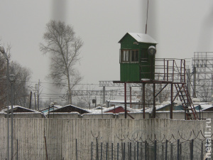 �������������� ������� ����������� 100 ���