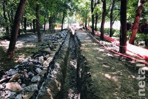 �� ������������ ��� ������������� ������������ ��������� ������� ���������� ����������� �� 600 ����� ������