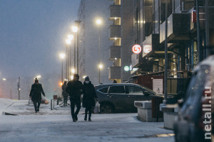 ���������� � ������ ���� �������� ������������. ����������