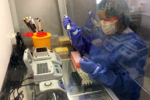 ����������� ����������� ������������ � ������������ ��������� �� �����������