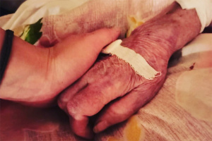 83-������ ������������ ������ ����� ������� �� �������������� ��������