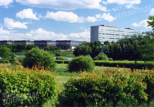 40+35. � 35-����� ����� ������ � �����������