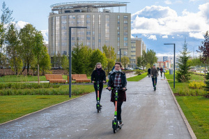 � �������� ���������� ��������� ���������� ������ ����������������