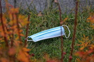 � ������ �������� �������� �����