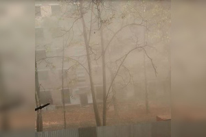 ��� ��������� ������ ���, � �� ���� �����. �����