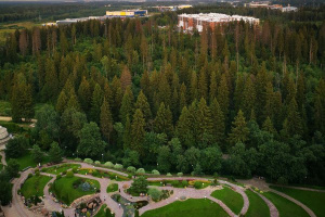 ����������� ���� � ��� ������������ ���������� �����