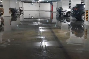 � ����������� �� ��������� ���� �������� ��������� �������