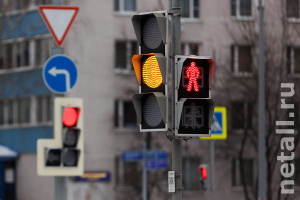 ������ ���� ������������ �� ������ ��������� ��������