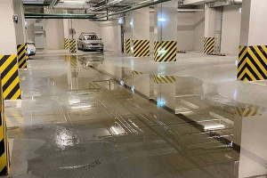 � ����������� ����� ���� ����� ���� �������� ��������� �������