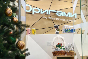 � ���������� ��������� �������� �������� �������� �������������