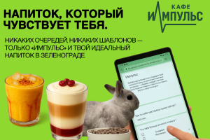 ���� �� ��������� ����: ����� �����, ��� ������� �������� ���� 