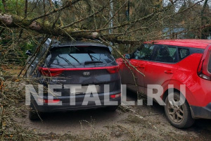 ������� ������ ��������� ������ � �����