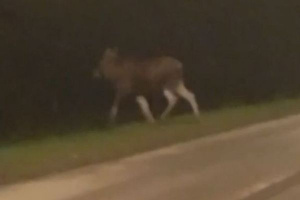 ���� �� �������� �����. ����� ��������