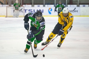 �� ����������� ������ ��������� ������� �� �������� � ����� ������ 13:3