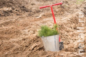 � ����������� ������������ ������� �����