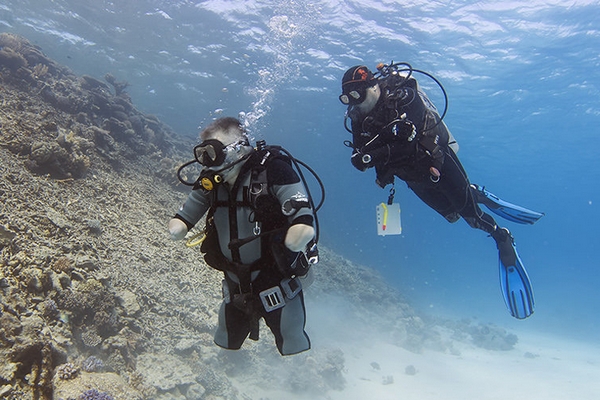 ������ �������� ������� ��������