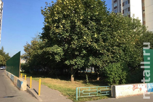 ������������� ��������� � 15-� �����������