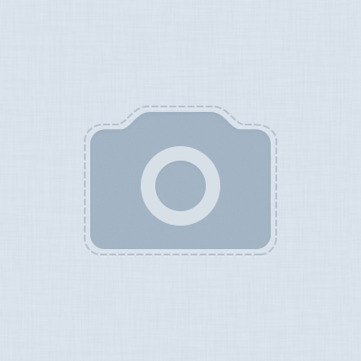 ������ ���������