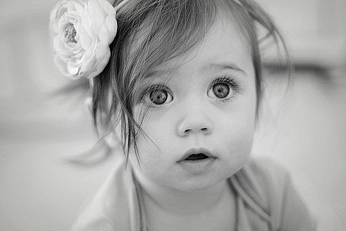 ����_��������