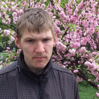 ˸�� ��������