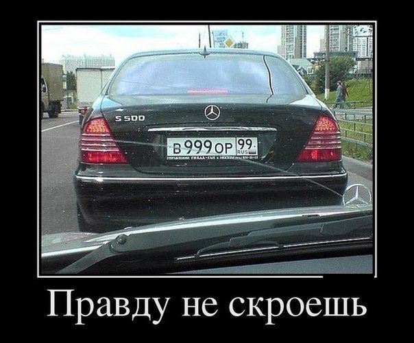 blin2013