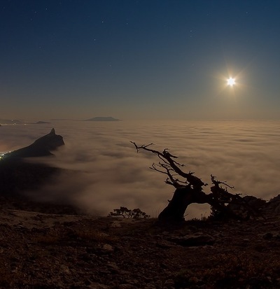 ���� ������������